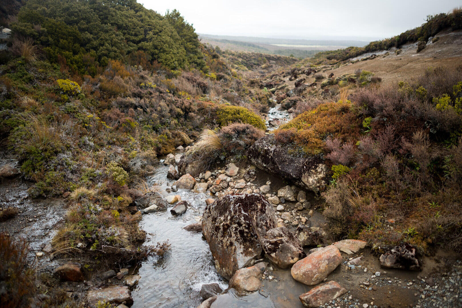 Tongariro Alpine Crossing with Shuttle Transfers